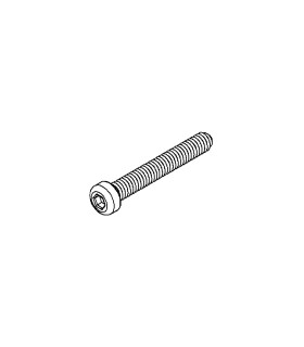 Allen bolt 6 sections 28 mm zn