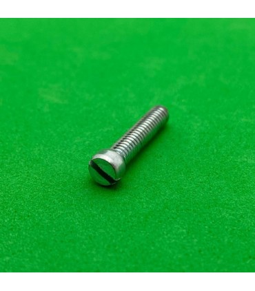 Vis tête fendue 19mm zn