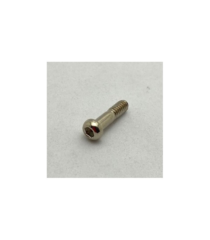 Allen pivot bolt 14,7mm nickel-plated appearance Allen pivot bolt 14,7mm nickel-plated appearance