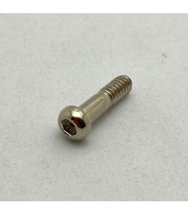Allen pivot bolt 14,7mm nickel-plated appearance
