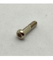 Allen pivot bolt 14,7mm nickel-plated appearance