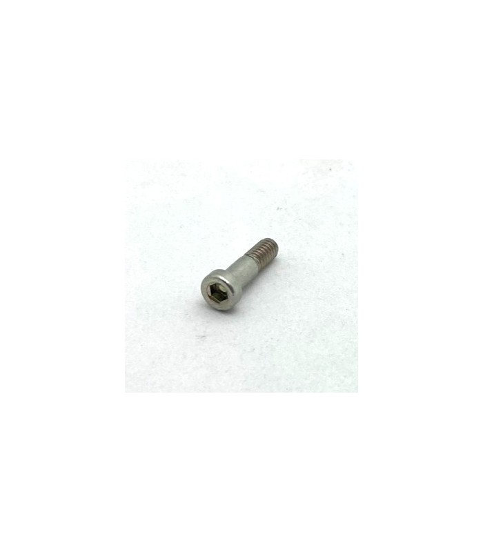 Allen pivot bolt 14,7mm nickel-platted appearance