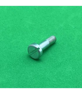 Pivot bolt 16mm cheese head zn