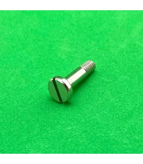 Pivot bolt 16mm cheese head zn