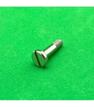Boulon pivot 16mm tête fendue zn