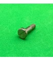 Boulon pivot 16mm tête fendue laiton nickelé