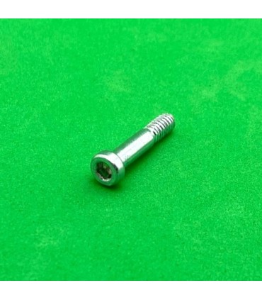Allen pivot bolt 19,2mm zn