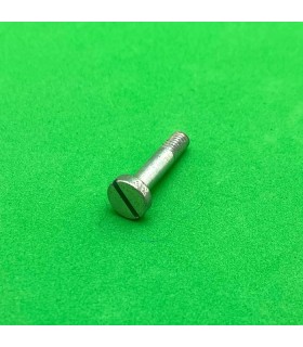 Pivot bolt 19,2mm cheese head zn