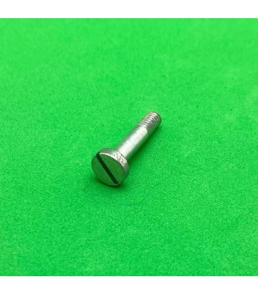 Boulon pivot 19,2mm tête fendue zn