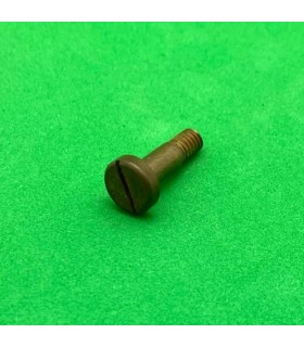 Pivot bolt 16mm cheese head brass