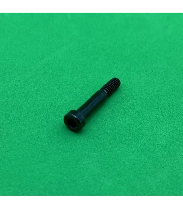Allen Pivot Bolt 23mm black