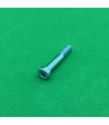 Allen Pivot Bolt 23mm zn