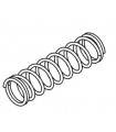 Motorbike spring