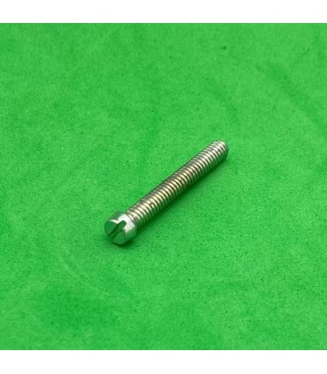 Vis tête fendue 28 mm zn