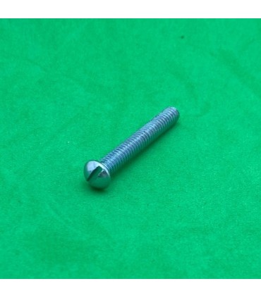 Bolt 28mm slotted rounded head zn