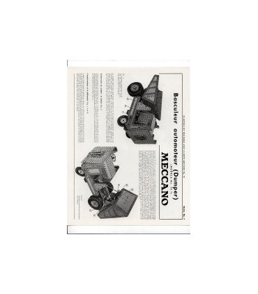 Basculeur automoteur dumper