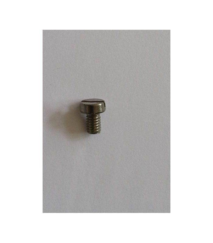 Vis tête fendue aspect Zn M4 6mm Vis tête fendue aspect Zn M4 6mm