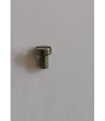 Vis tête fendue aspect Zn M4 6mm
