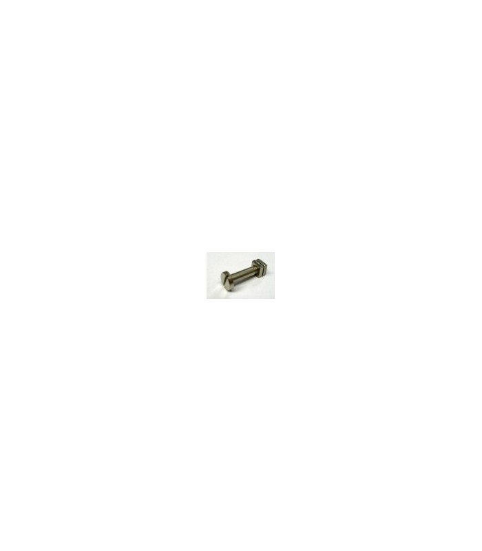 Boulon pivot tete fendue 22mm Boulon pivot tete fendue 22mm