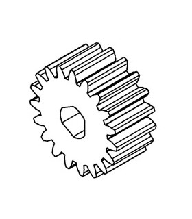 Pinion 19 th 3 sections gold