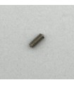 Coupling screw for spring cord